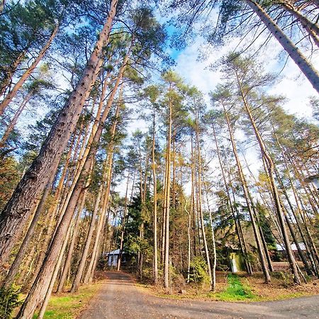 Bungalow Direkt Am See, Mit Eigenem Boot Roding Kültér fotó