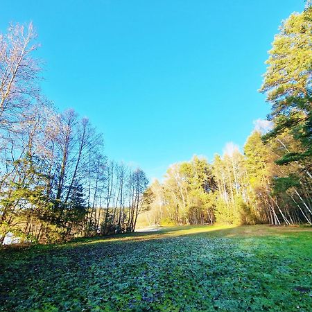 Bungalow Direkt Am See, Mit Eigenem Boot Roding Kültér fotó