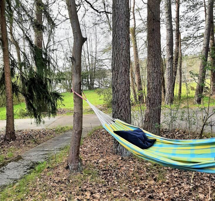 Bungalow Direkt Am See, Mit Eigenem Boot Roding Kültér fotó