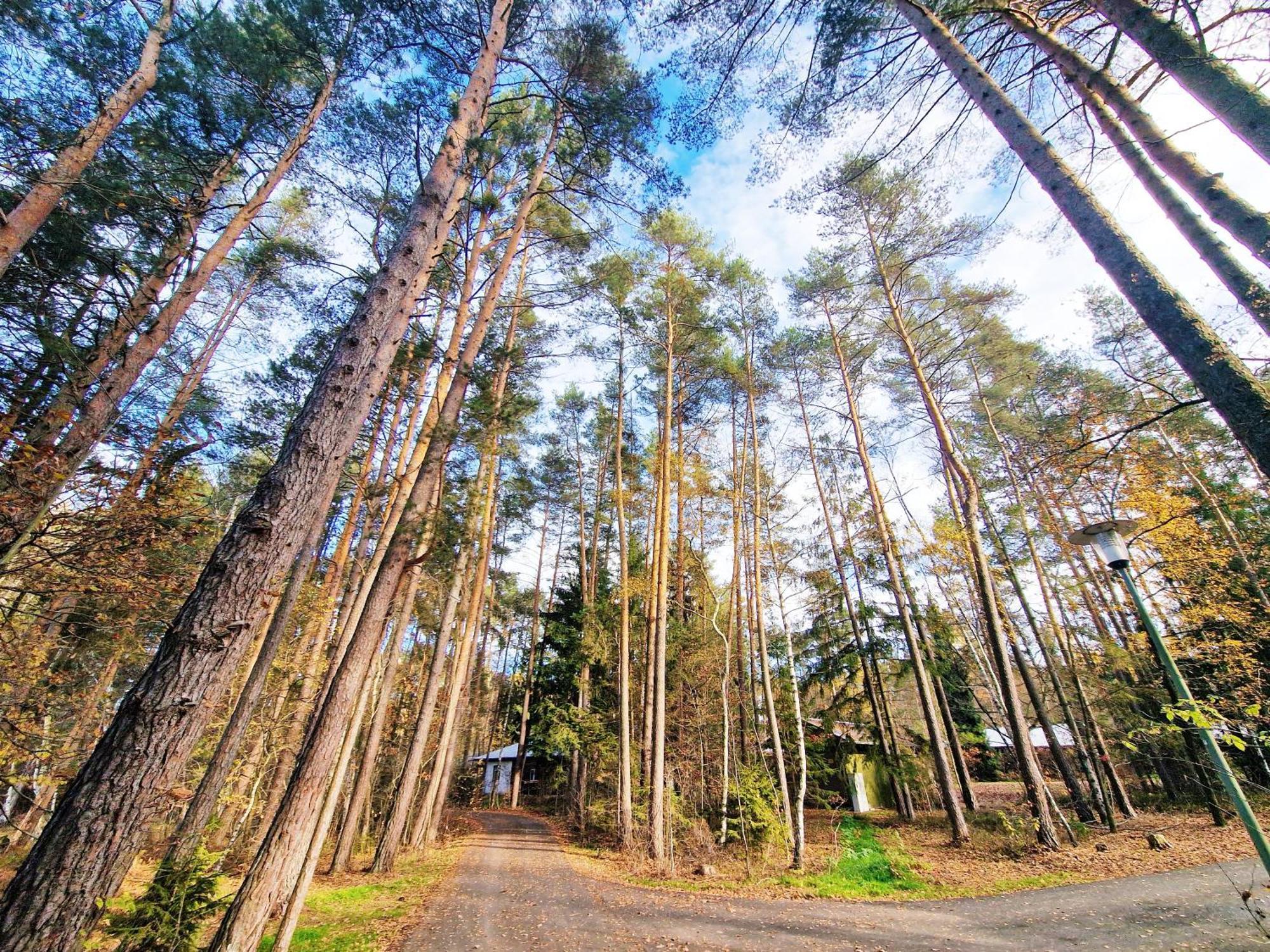 Bungalow Direkt Am See, Mit Eigenem Boot Roding Kültér fotó