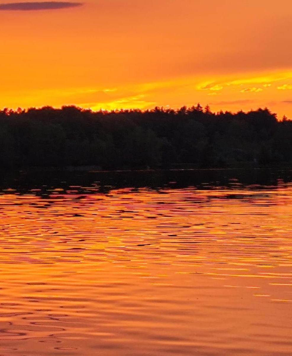 Bungalow Direkt Am See, Mit Eigenem Boot Roding Kültér fotó