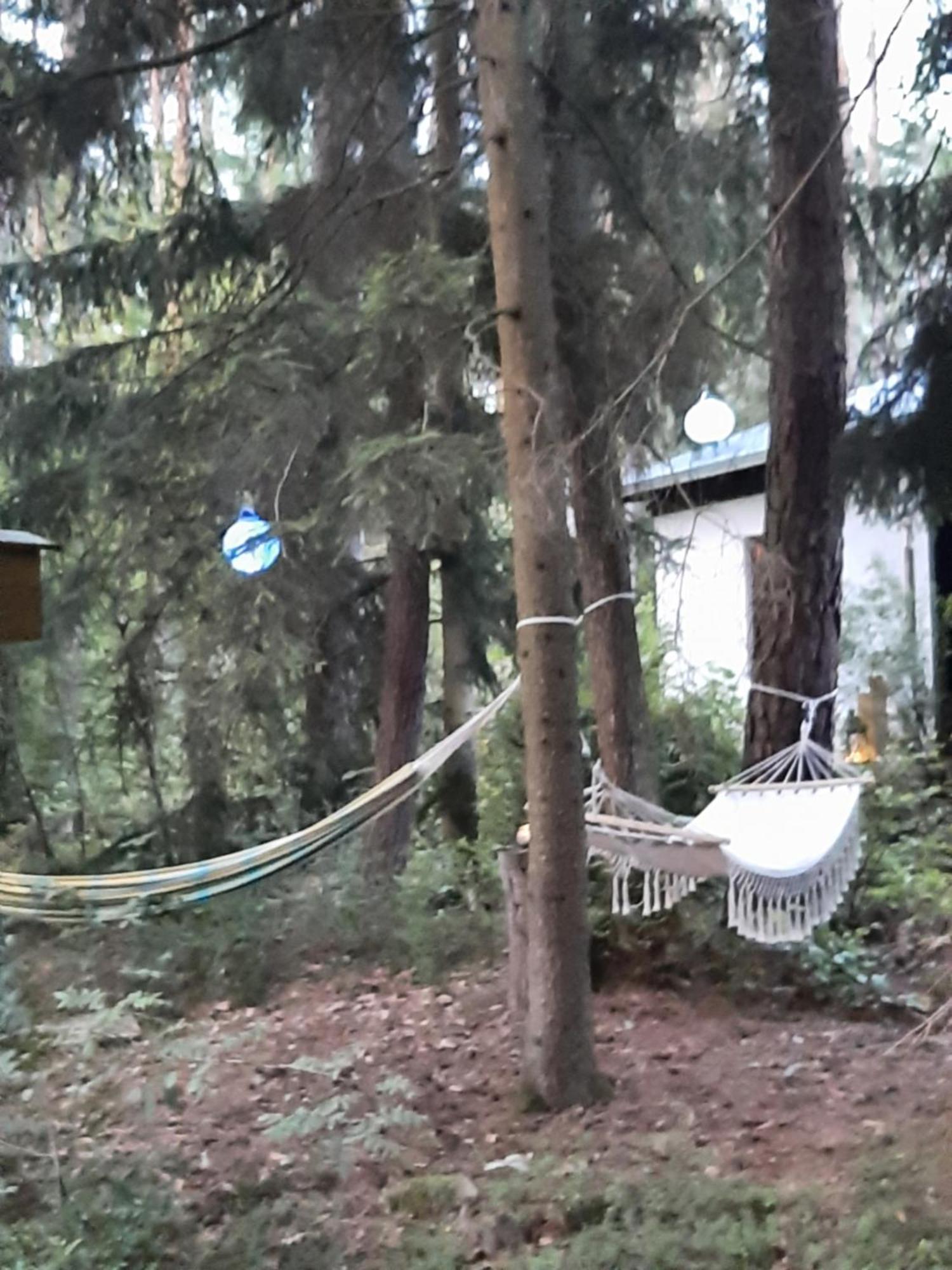 Bungalow Direkt Am See, Mit Eigenem Boot Roding Kültér fotó